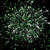 Все и сразу